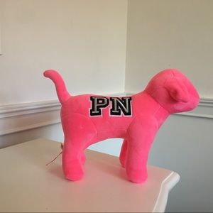 Adorable VS PINK puppy! 💕